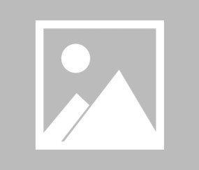 乐动官方网站-Scout在掘金比赛中精彩发挥风云突变瓦伦西亚加时末段伤情更新，布鲁克林篮网冲刺阶段刷新队史纪录直接炸裂的简单介绍